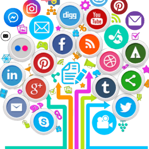 Social Media Marketing- Basic Plan